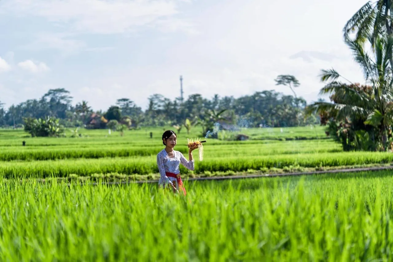 Kubu Bali Baik Villa & Resort - Chse Certified Ubud